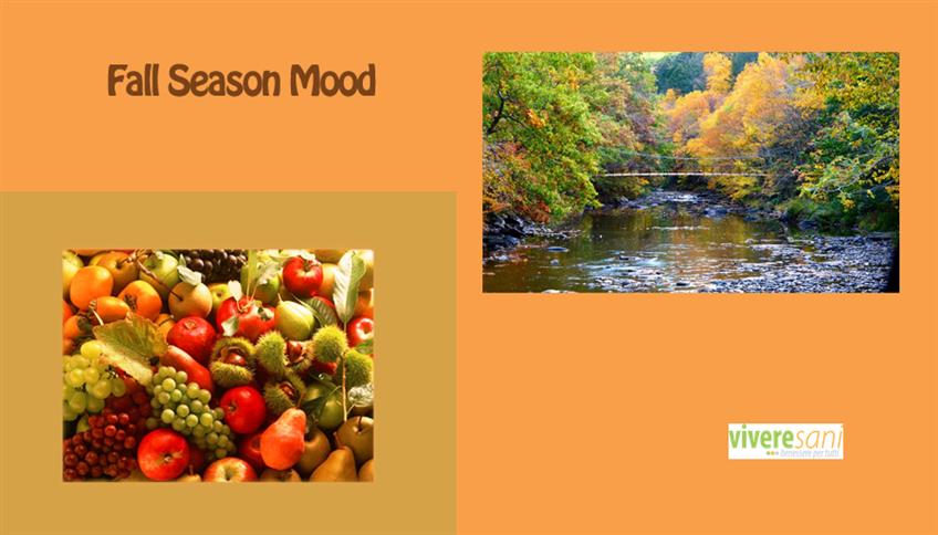 Cosa porta il mood autunnale? Cosa porta il mood autunnale?